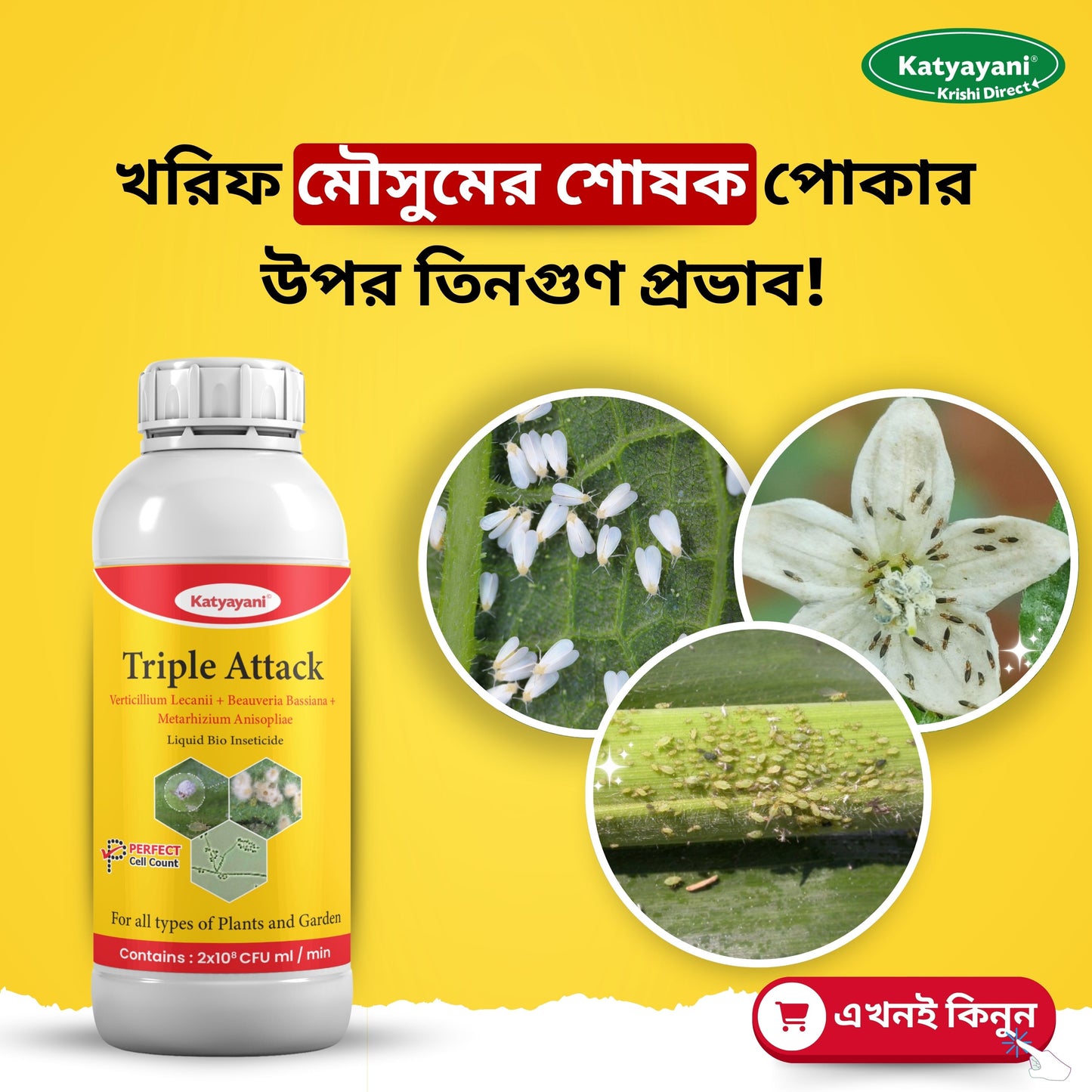 GGV Vesicular Arbuscular Mycorrhiza | Bio fertilizer Green Garden Vibes
