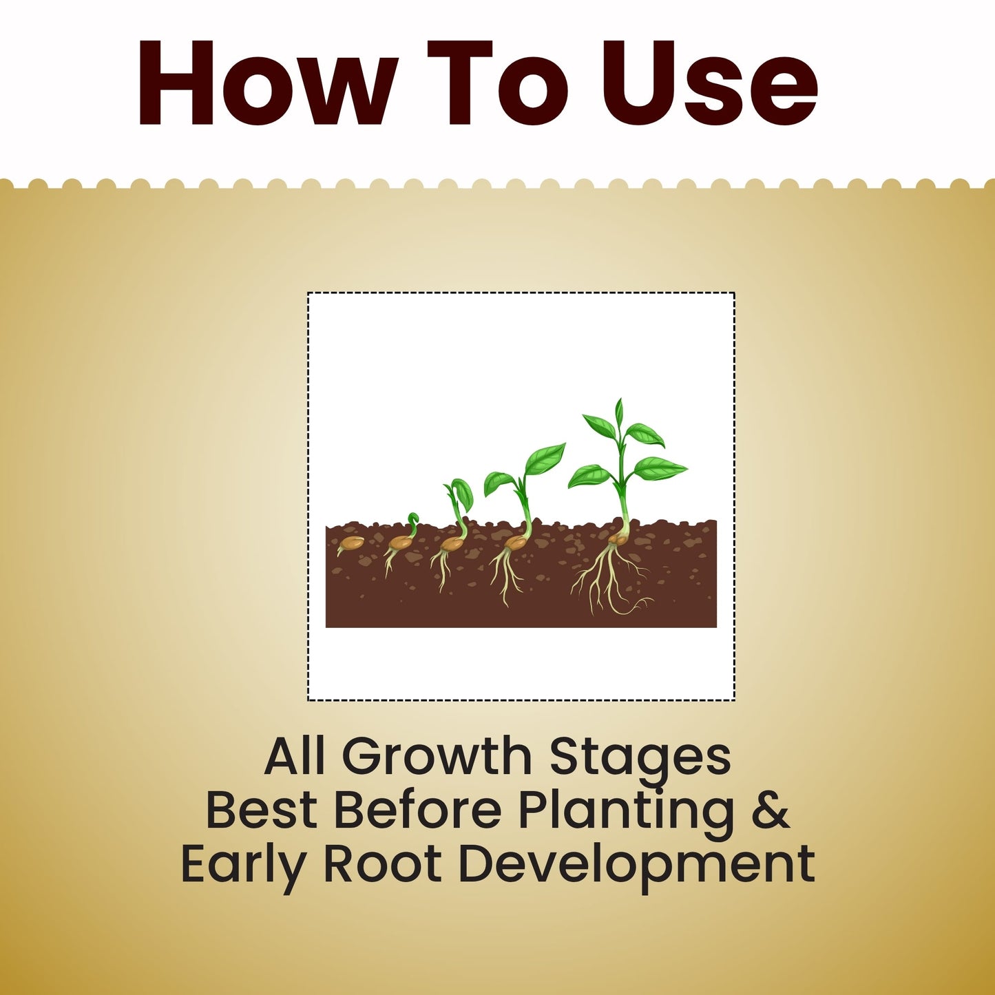 GGV Activated Humic Acid + Fulvic Acid 98% | Organic Soil Conditioner & Plant Growth Enhancer Green Garden Vibes Canada