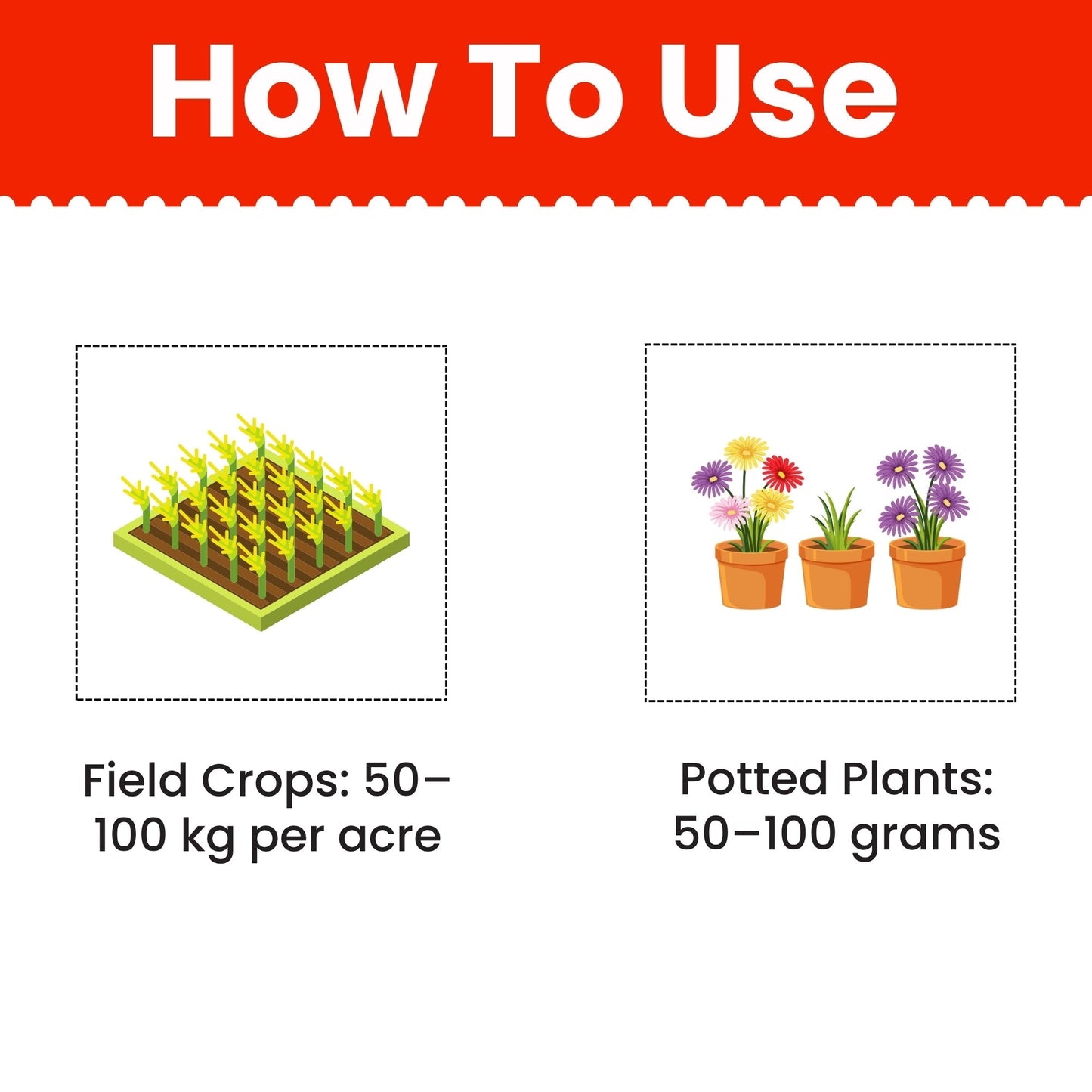 GGV Prom Organic Fertilizer | Phosphate Rich Organic Manure Green Garden Vibes Canada