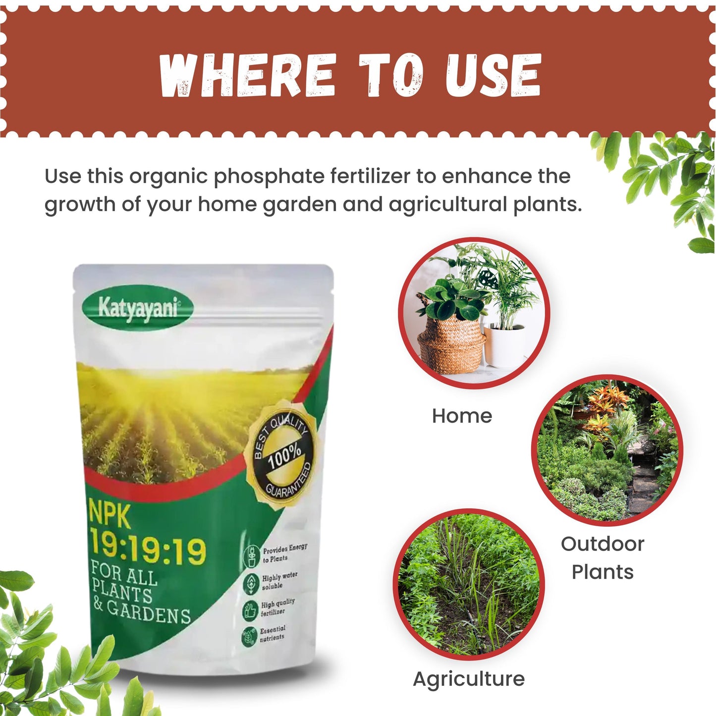 GGV Liquid fertiliser NPK 19 19 19 100% Green Garden Vibes Canada