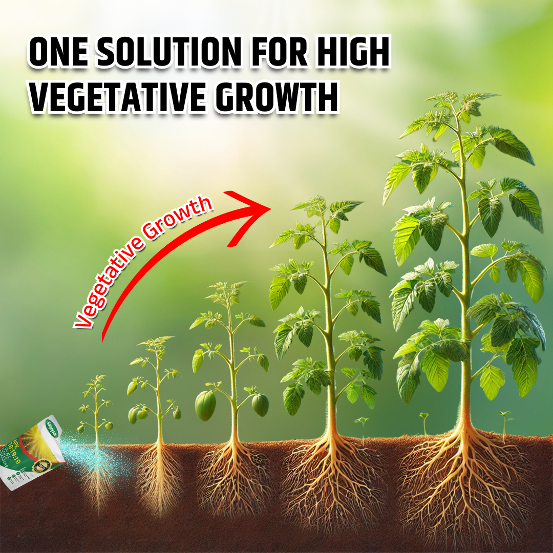GGV Liquid fertiliser NPK 19 19 19 100% Green Garden Vibes Canada