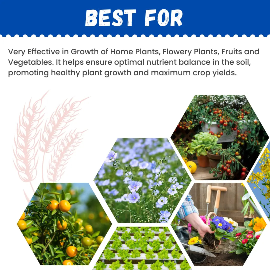 GGV NPK 12:61:00 – Buy 1 Get 2 Free Fertilizer Deal Green Garden Vibes Canada