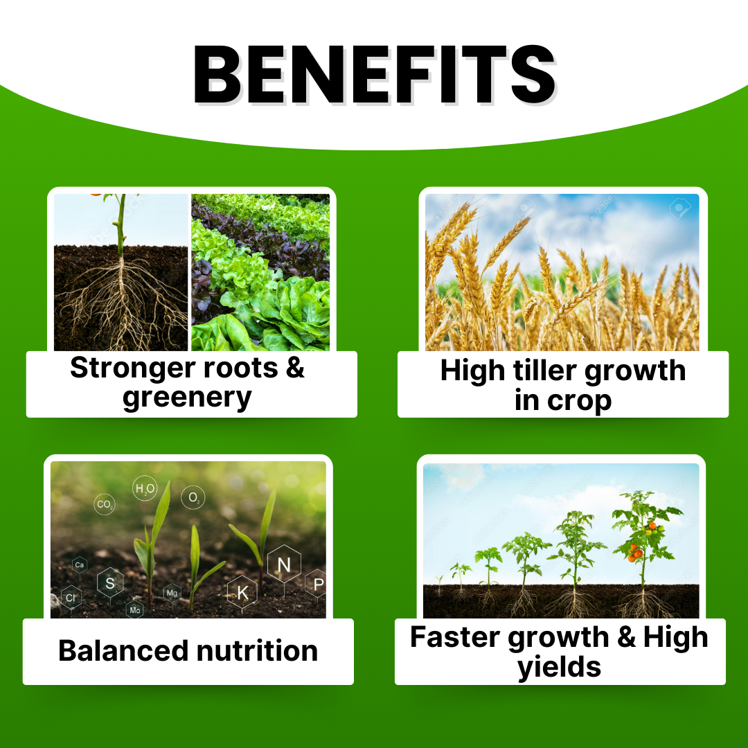GGV Liquid fertiliser NPK 19 19 19 100% Green Garden Vibes Canada