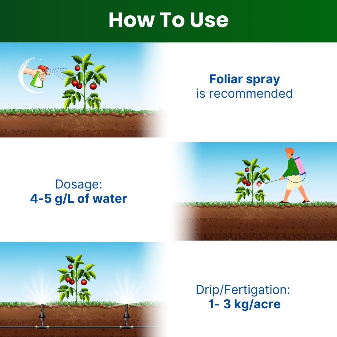 GGV Liquid fertiliser NPK 19 19 19 100% Green Garden Vibes Canada