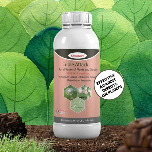 VBM – Verticillium Lecanii + Beauveria Bassiana + Metarhizium Anisopliae Bio pesticide Green Garden Vibes