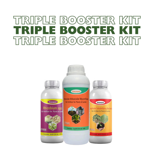 GGV Tripple Booster Kit Green Garden Vibes Canada