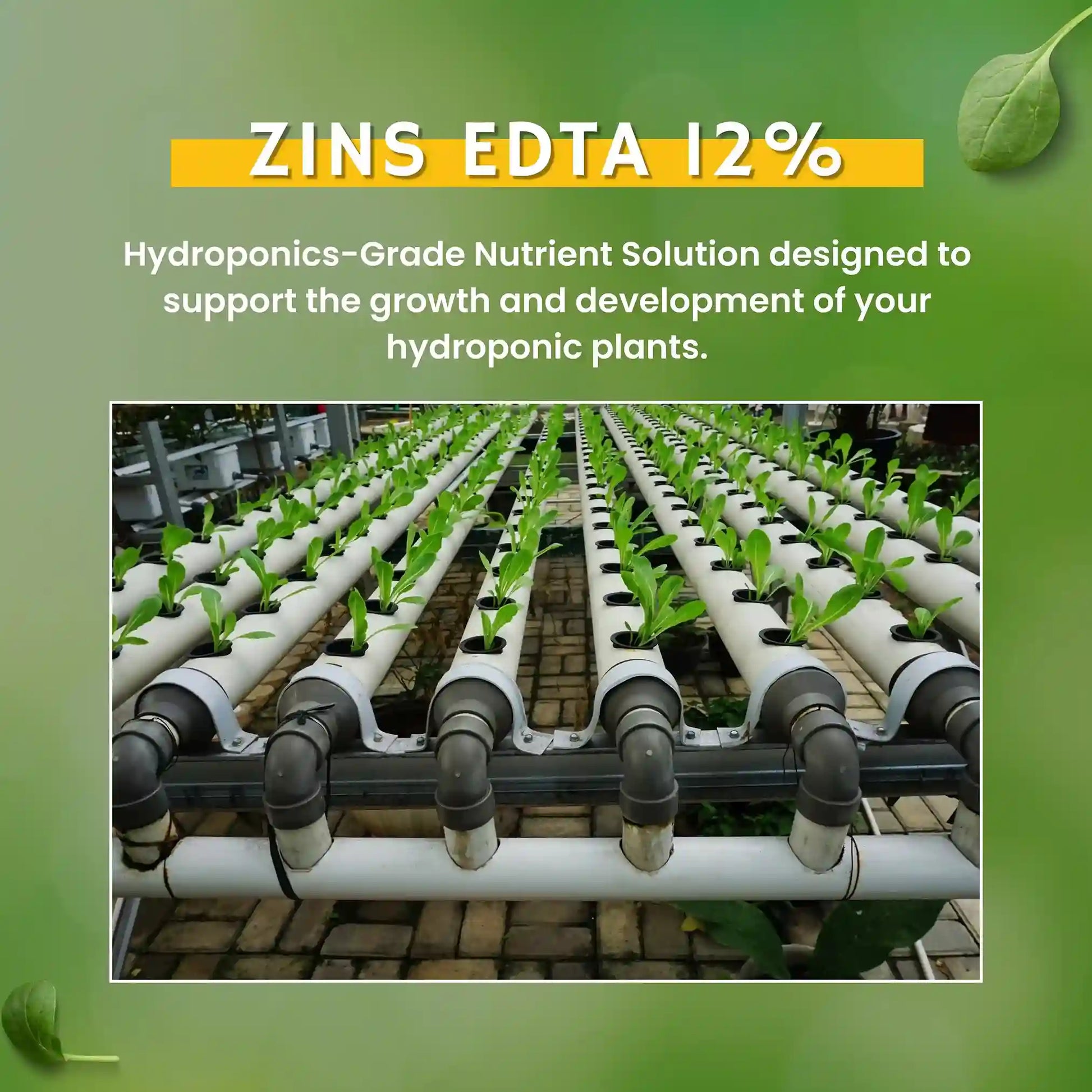 Green garden vibes Zinc fertiliser edta 12%
Best quality zinc fertiliser edta 12%