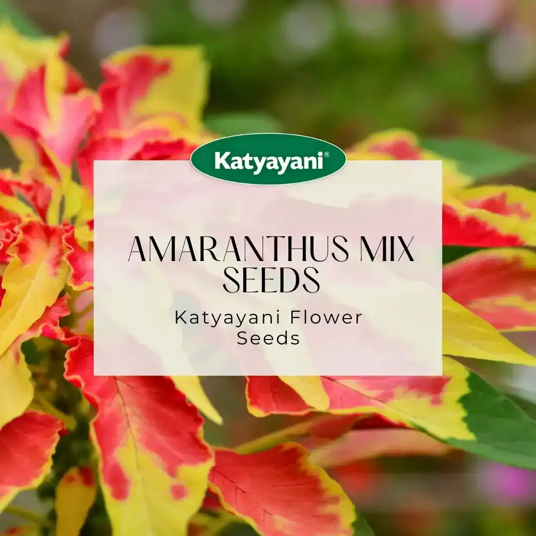 GGV Amaranthus Mix Flowering Seed