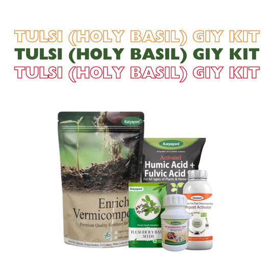 GGV Tulsi (Holy Basil) Grow it yourself kit Green Garden Vibes Canada