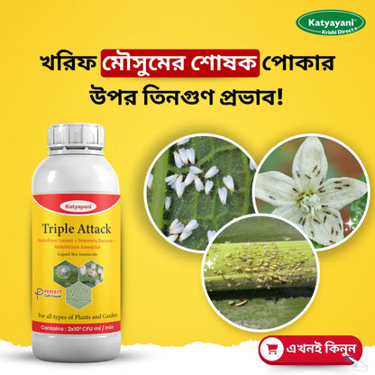 GGV Vesicular Arbuscular Mycorrhiza | Bio fertilizer Green Garden Vibes