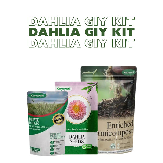 GGV Dahlia Grow It Yourself Kit Green Garden Vibes Canada