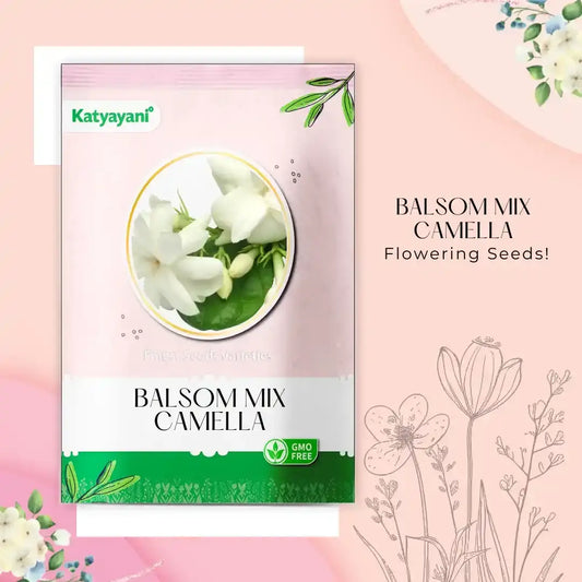 GGV Balsom Mix Camella Flowering Seeds