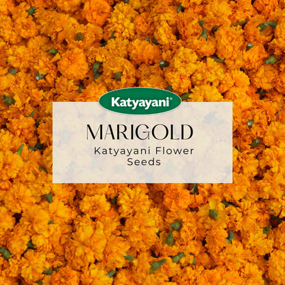 GGV Marigold French Flowering Seeds