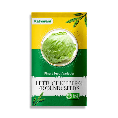 GGV Lettuce Iceberg (round) Vegetable Seeds