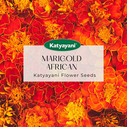 GGV Marigold African Yellow Flowering Seeds