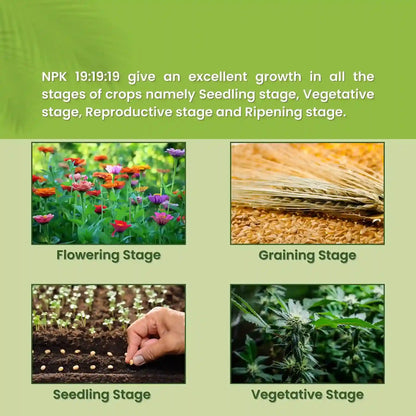 Green garden vibes NPK 19 19 19 fertilizer 
Best quality NPK 19 19 19 fertilizer