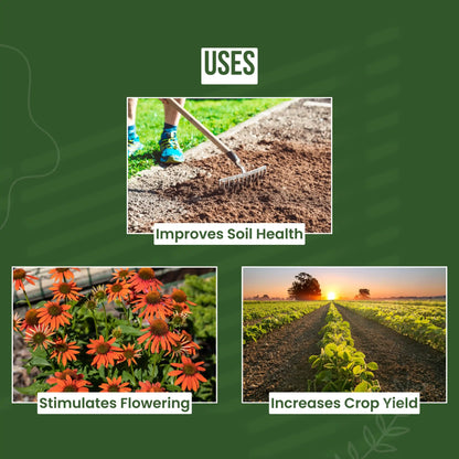 Green garden vibes seaweed fertilizer
Best quality seaweed fertilizer