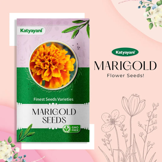 GGV Marigold French Flowering Seeds
