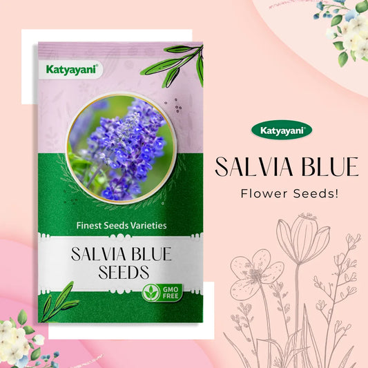 GGV Salvia Blue Flowering Seeds