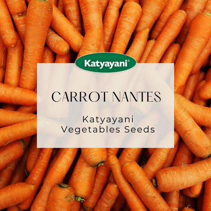 GGV Carrot Nantes (improved) Vegetable Seeds