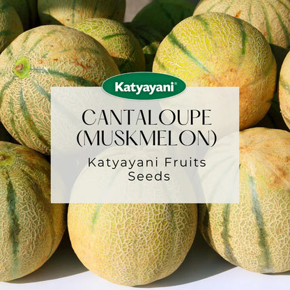 GGV Cantaloupe (Muskmelon) Fruit Seeds