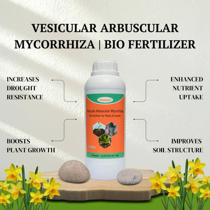 GGV Vesicular Arbuscular Mycorrhiza | Bio fertilizer Green Garden Vibes