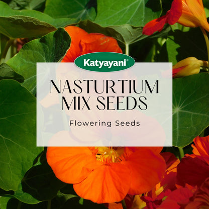 GGV Nasturtium Mix Flowering Seeds(400 Seeds per Packet)