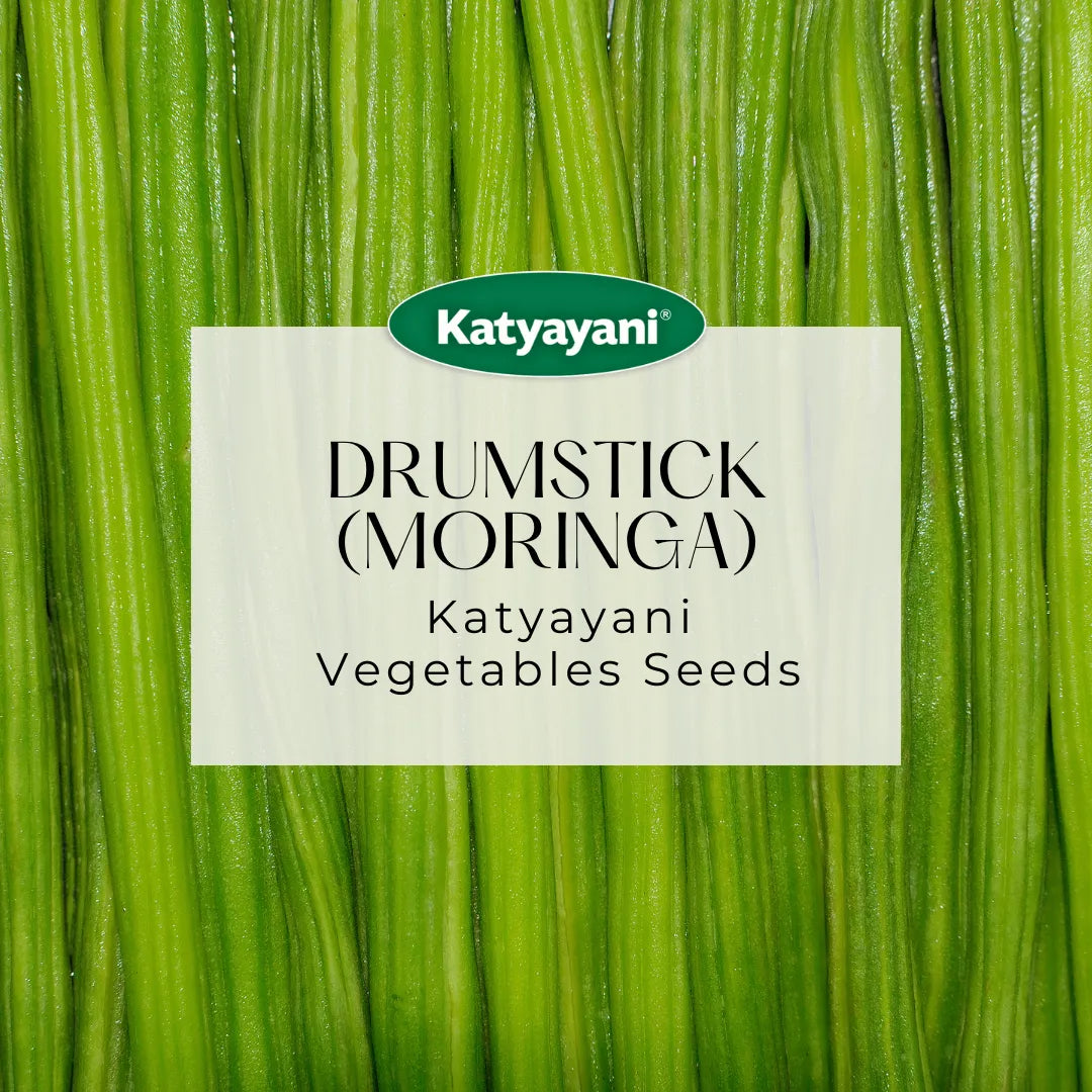 GGV Drumstick(moringa) Vegetable Seeds (10 Seeds per Packet)