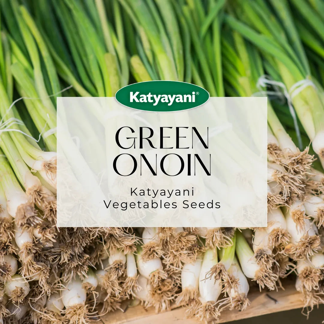 GGV Green Onion (Leek) Vegetable Seeds