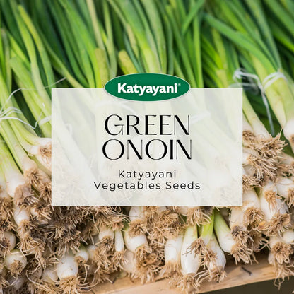 GGV Green Onion (Leek) Vegetable Seeds
