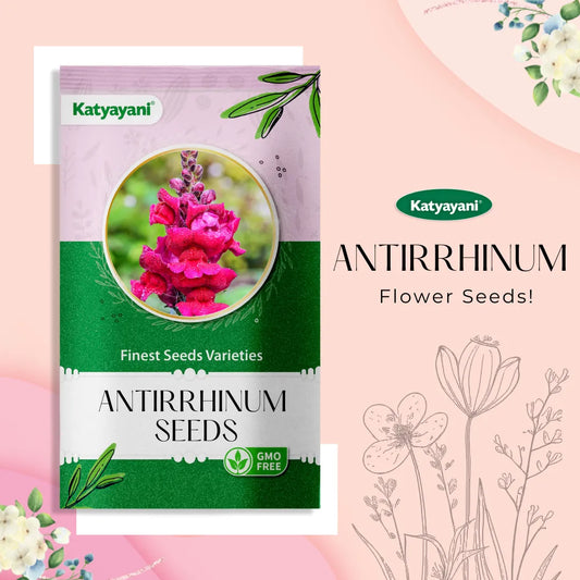 GGV Antirrhinum Flowering Seeds