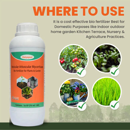 GGV Vesicular Arbuscular Mycorrhiza | Bio fertilizer Green Garden Vibes