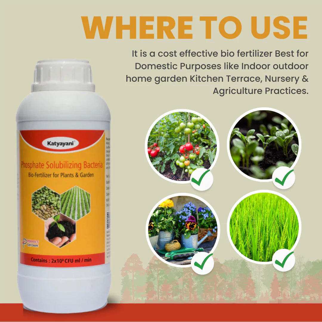 GGV Phosphate Solubilizing Bacteria Bio fertilizer Green Garden Vibes Canada
