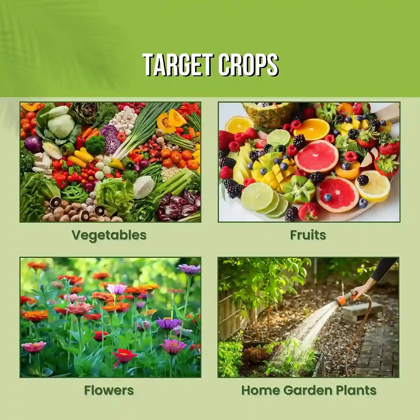 Green garden vibes NPK 19 19 19 fertilizer 
Best quality NPK 19 19 19 fertilizer