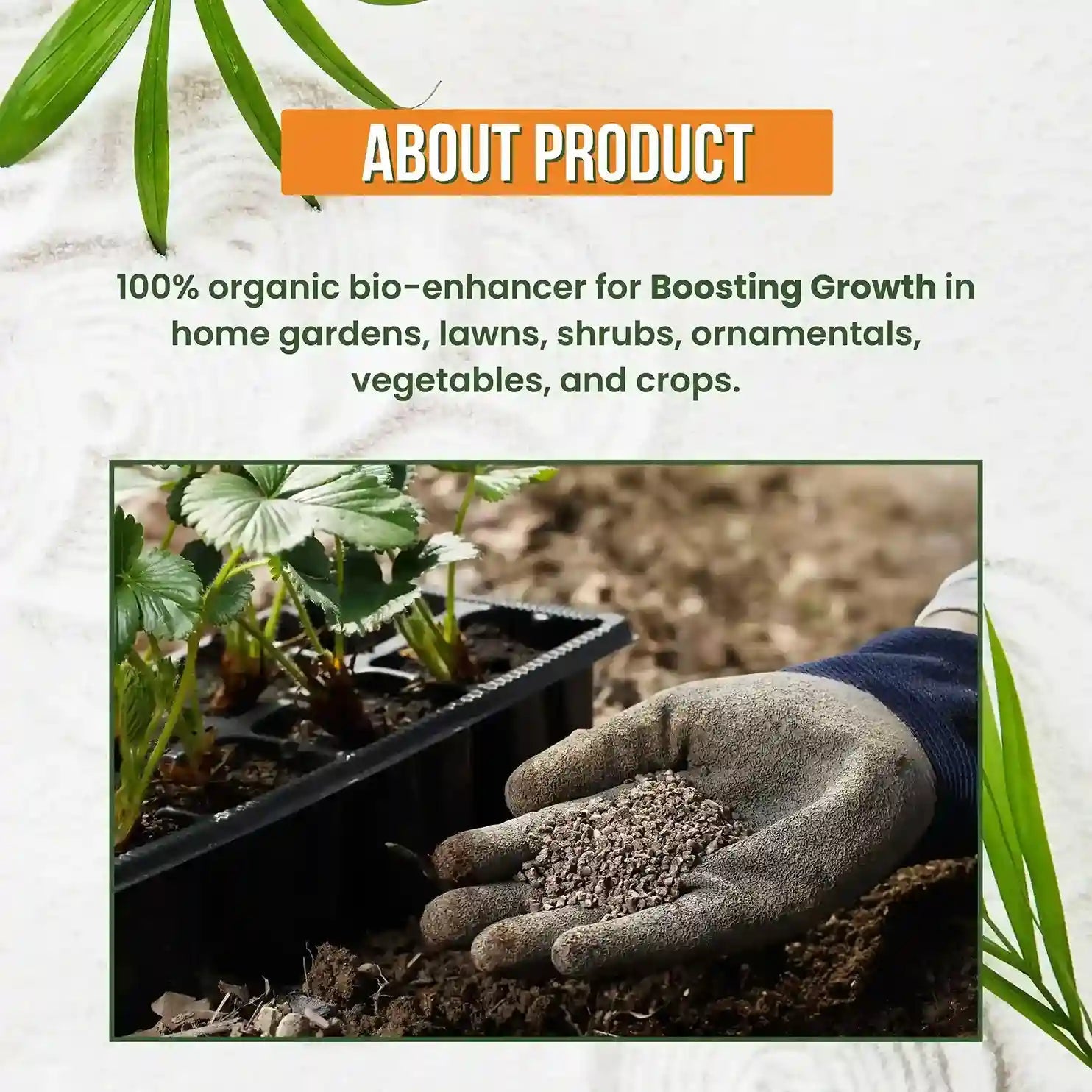 GGV Activated Humic Acid + Fulvic Acid 98% | Organic Soil Conditioner & Plant Growth Enhancer Green Garden Vibes Canada