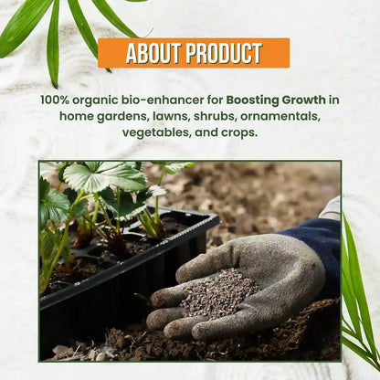 GGV Activated Humic Acid + Fulvic Acid 98% | Organic Soil Conditioner & Plant Growth Enhancer Green Garden Vibes Canada