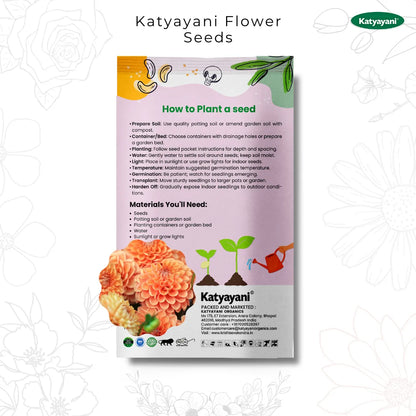 GGV Dahlia Flowering Seeds