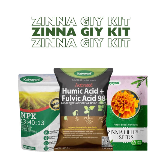 GGV Zinna Grow It Yourself Kit Green Garden Vibes Canada