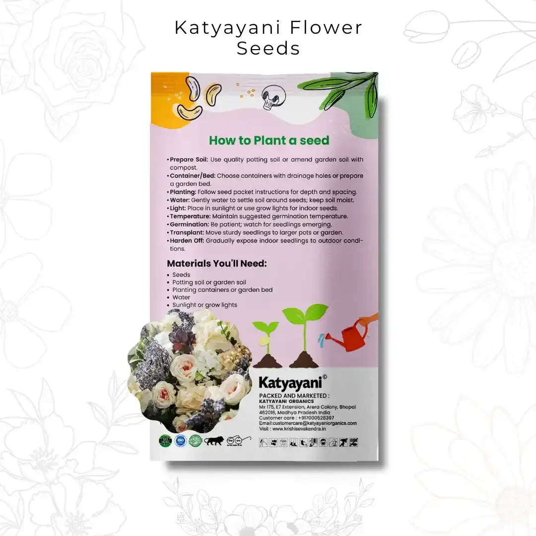 GGV Balsom Mix Camella Flowering Seeds