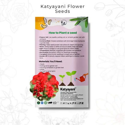 GGV Salvia Splendens Red Flowering Seeds