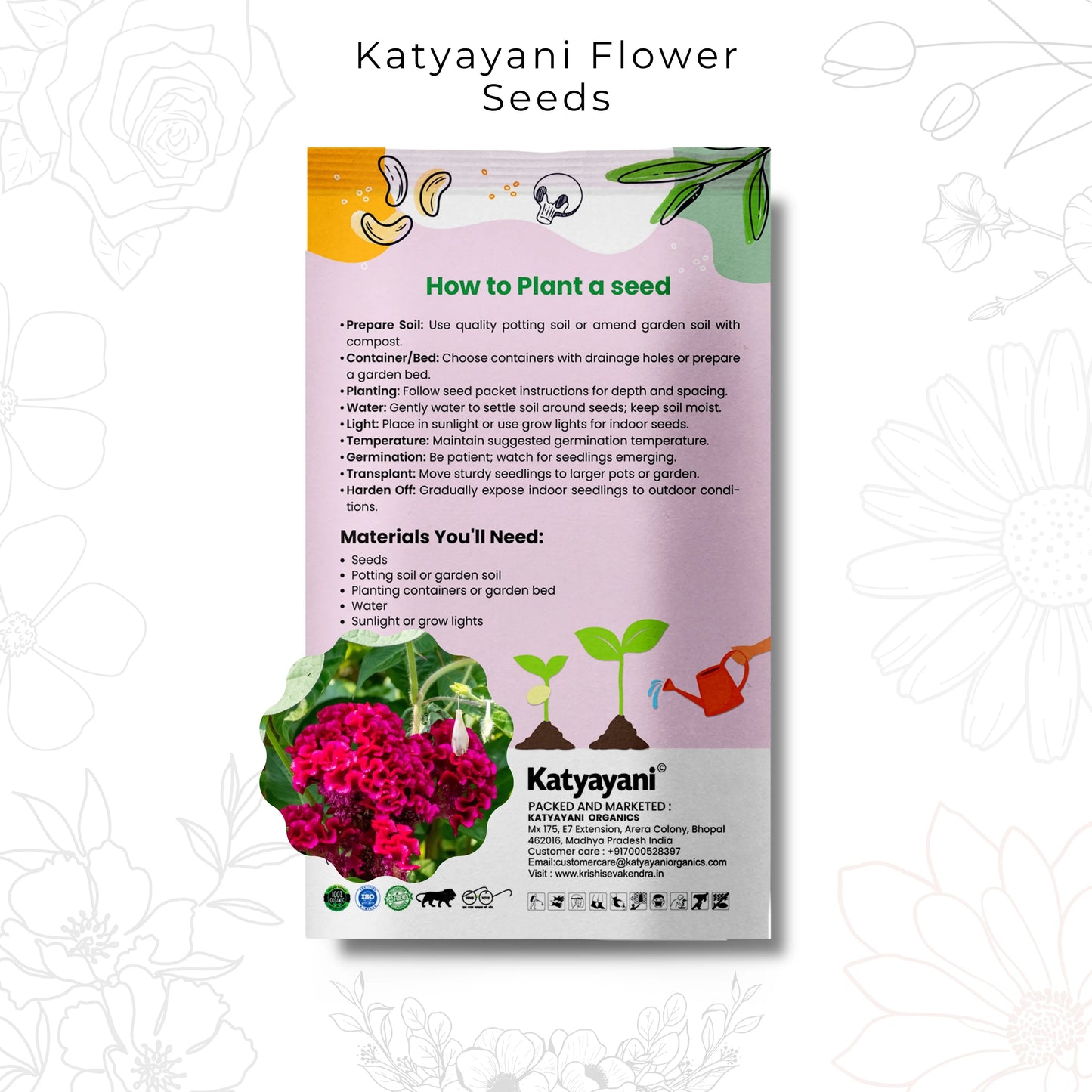 GGV Celosia Cristata Flowering Seeds