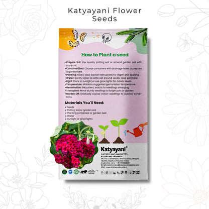 GGV Celosia Cristata Flowering Seeds