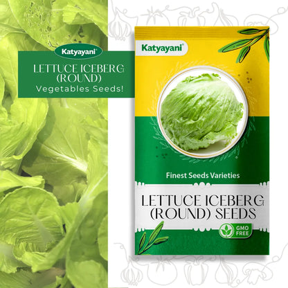 GGV Lettuce Iceberg (round) Vegetable Seeds
