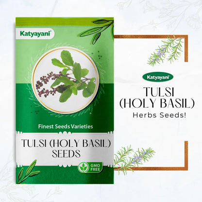 GGV Tulsi  (Holy Basil) Herb seeds
