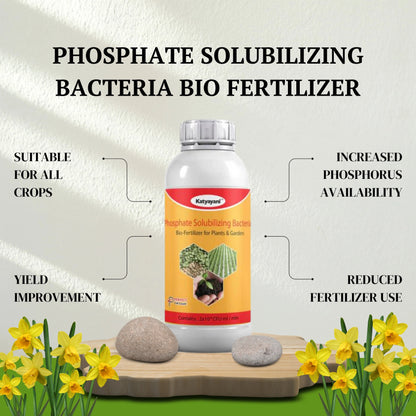 GGV Phosphate Solubilizing Bacteria Bio fertilizer Green Garden Vibes Canada