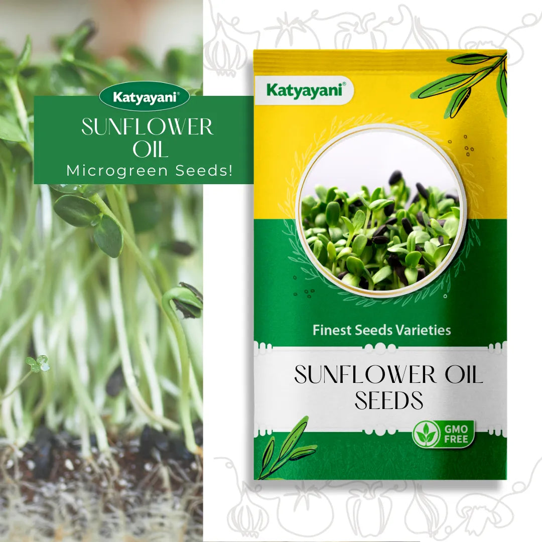 GGV Sunflower Oil Flowering Seeds
