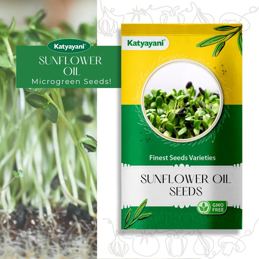 GGV Sunflower Oil Flowering Seeds