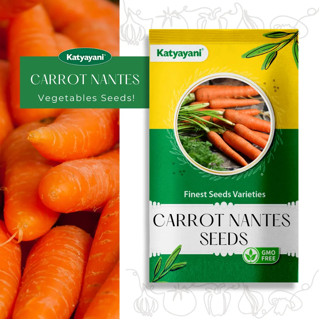GGV Carrot Nantes (improved) Vegetable Seeds