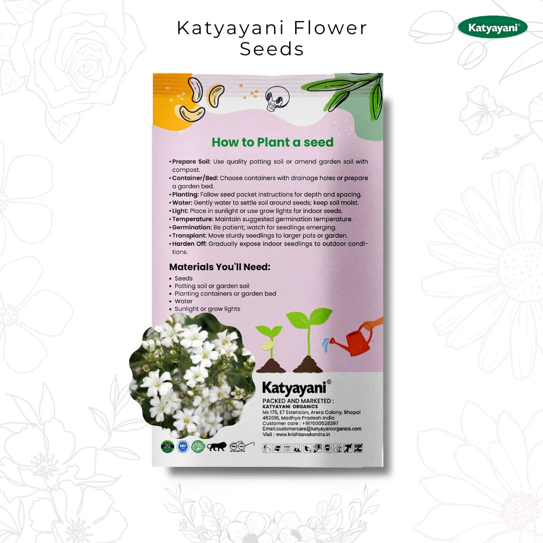 GGV Gypsophila Flowering Seeds Green Garden Vibes