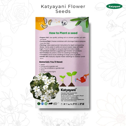 GGV Gypsophila Flowering Seeds Green Garden Vibes